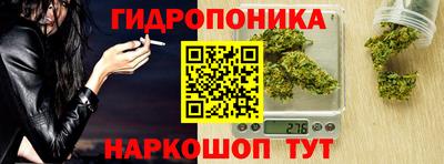 гидра Будённовск