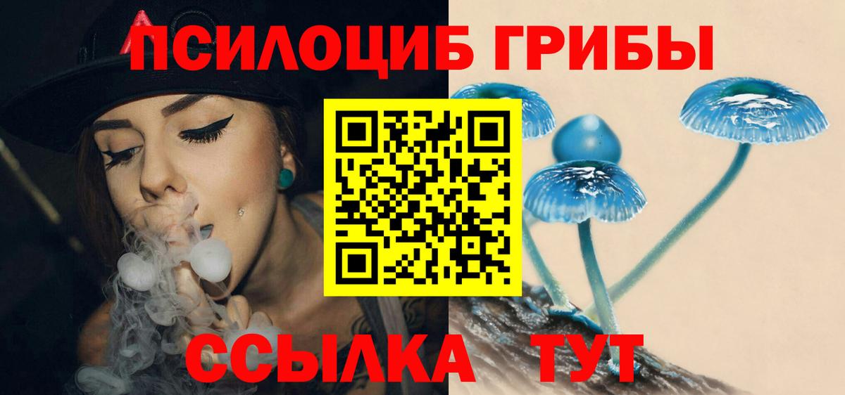 Псилоцибиновые грибы прущие грибы Борзя