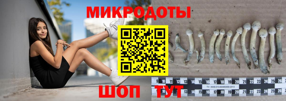 Борзя  Псилоцибиновые грибы Cubensis  Вход с VPN 